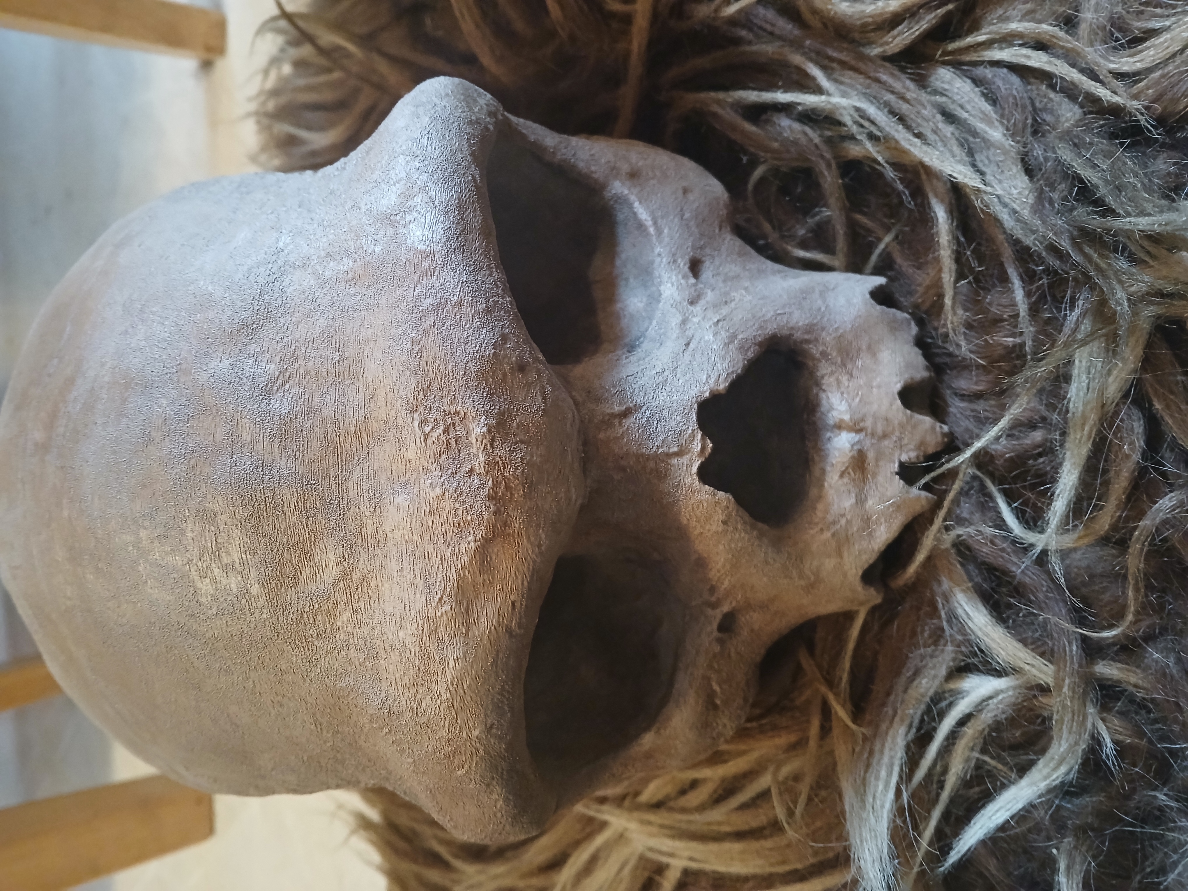 Homo Longi Skull ("Dragon Man")